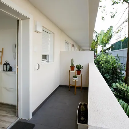 Apartment 1 9 Tesoro Galeon Y Gym Costa Adeje (Tenerife)